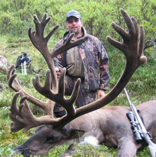 Great early season double-shovel bull caribou in full velvet